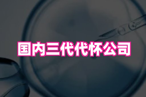 北京助孕网 1