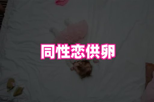 北京助孕网 3