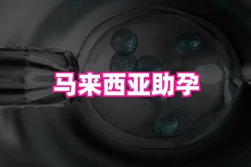 北京助孕网 4